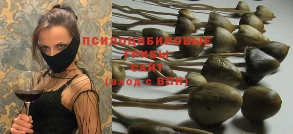 скорость Алексин